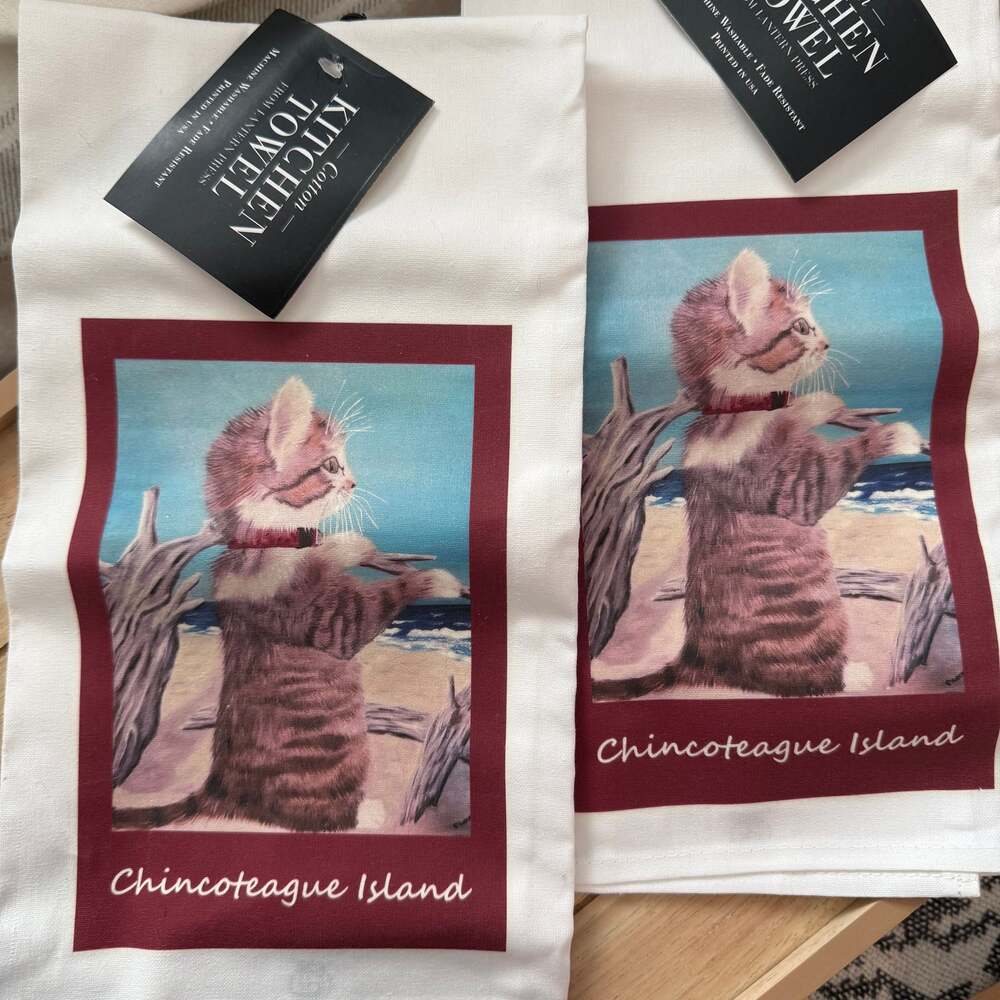 NWT Kitchen Dish Towels -Set of 2